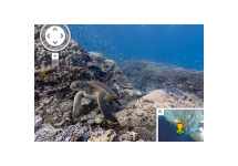 Google StreetView bevat nu ook onderwaterfoto's