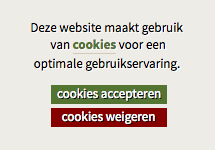 Cookiebalk: wat doet u met uw website?